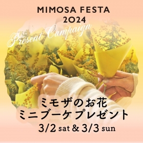 MIMOSA FESTA2024×川崎モアーズ 「ミモザミニブーケプレゼント」