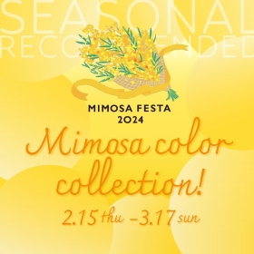 Seasonal Recommended　～Mimosa Color Collection～