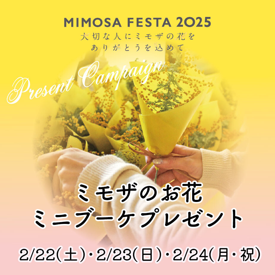 ｵﾝﾗｲﾝ限定 ﾐﾓｻﾞｾｯﾄ | 古川紙工公式オンラインショップ