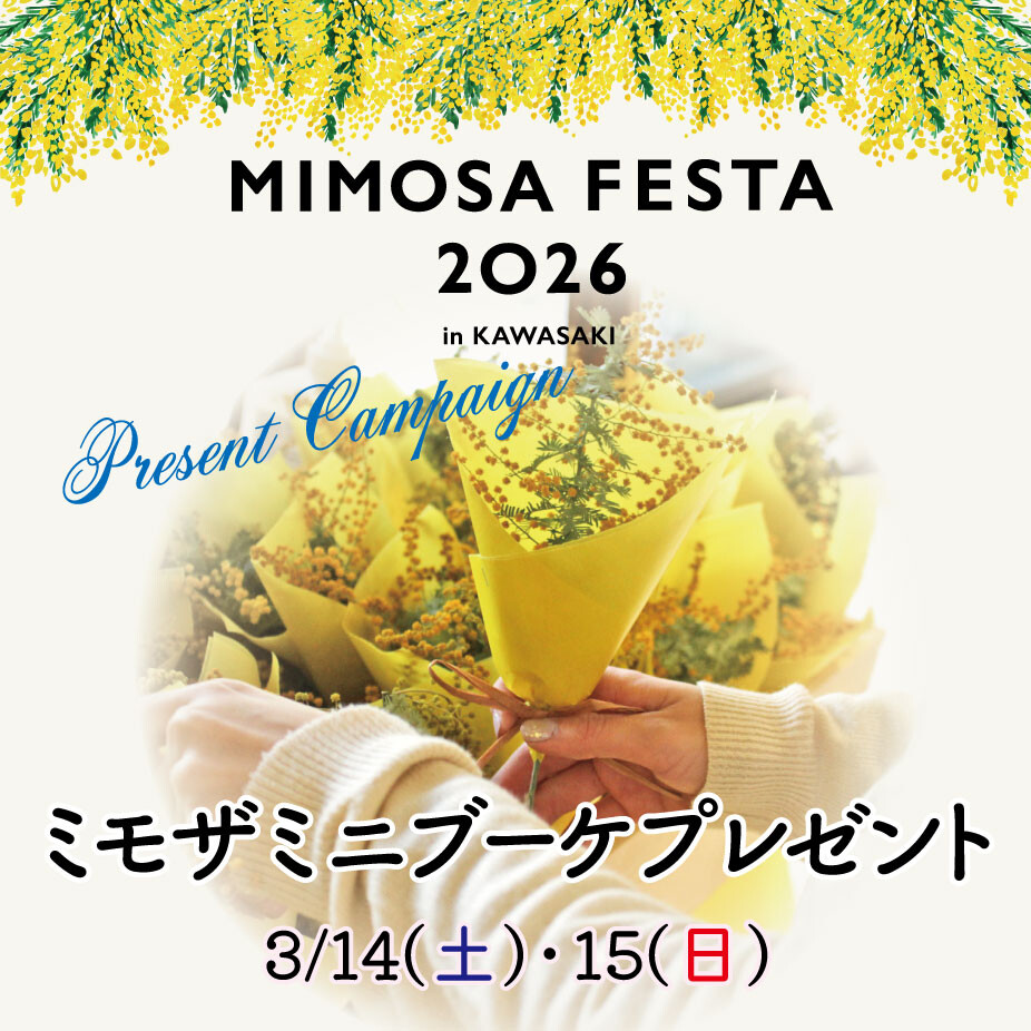 MIMOSA FESTA2026×川崎モアーズ 「ミモザミニブーケプレゼント