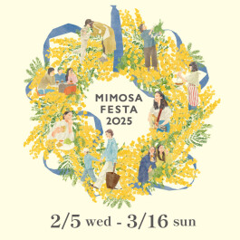 MIMOSA FESTA 2025