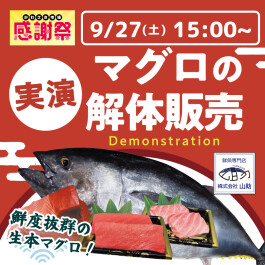 【予告】9/27（土）15：00～ まぐろの解体販売 開催！