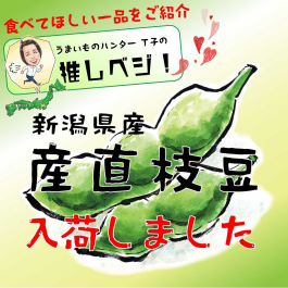 うまい！産直枝豆入荷しました☆