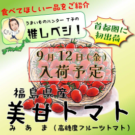 首都圏初出荷！美甘トマトのご紹介