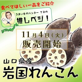 T子の推しベジ!「岩国れんこん」