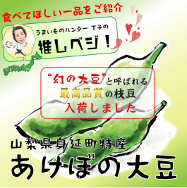 "幻のあけぼの大豆"入荷！
